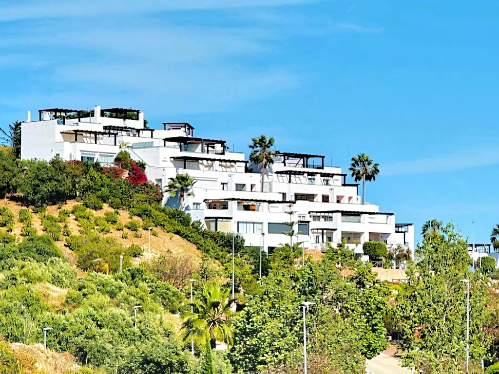 Santa Clara Duplex_11