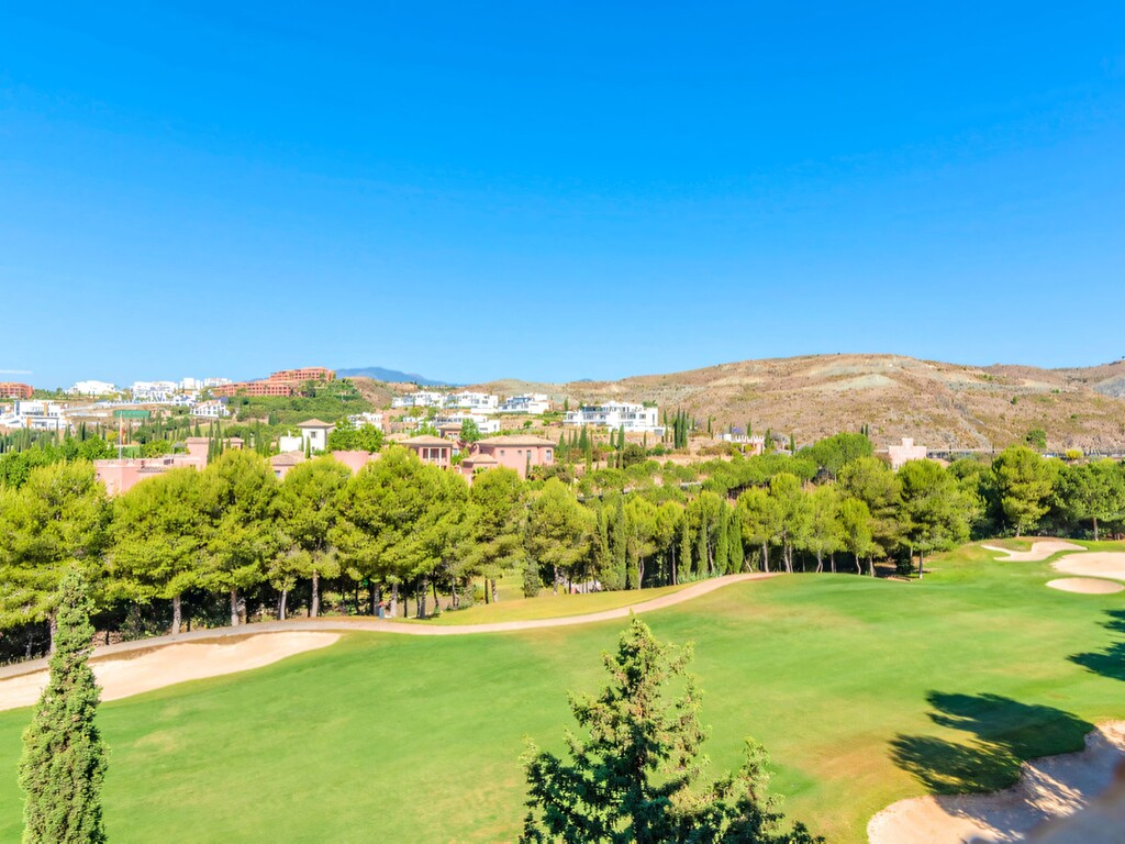 Tee 5 Los Flamingos_4