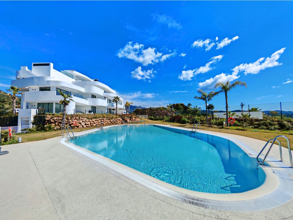 Palo Alto Oj&eacute;n Marbella_2