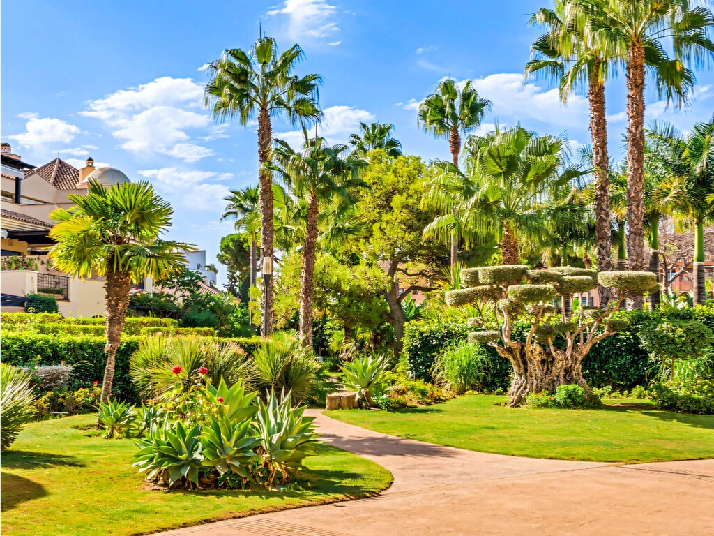 Las Mimosas Puerto Banus_20